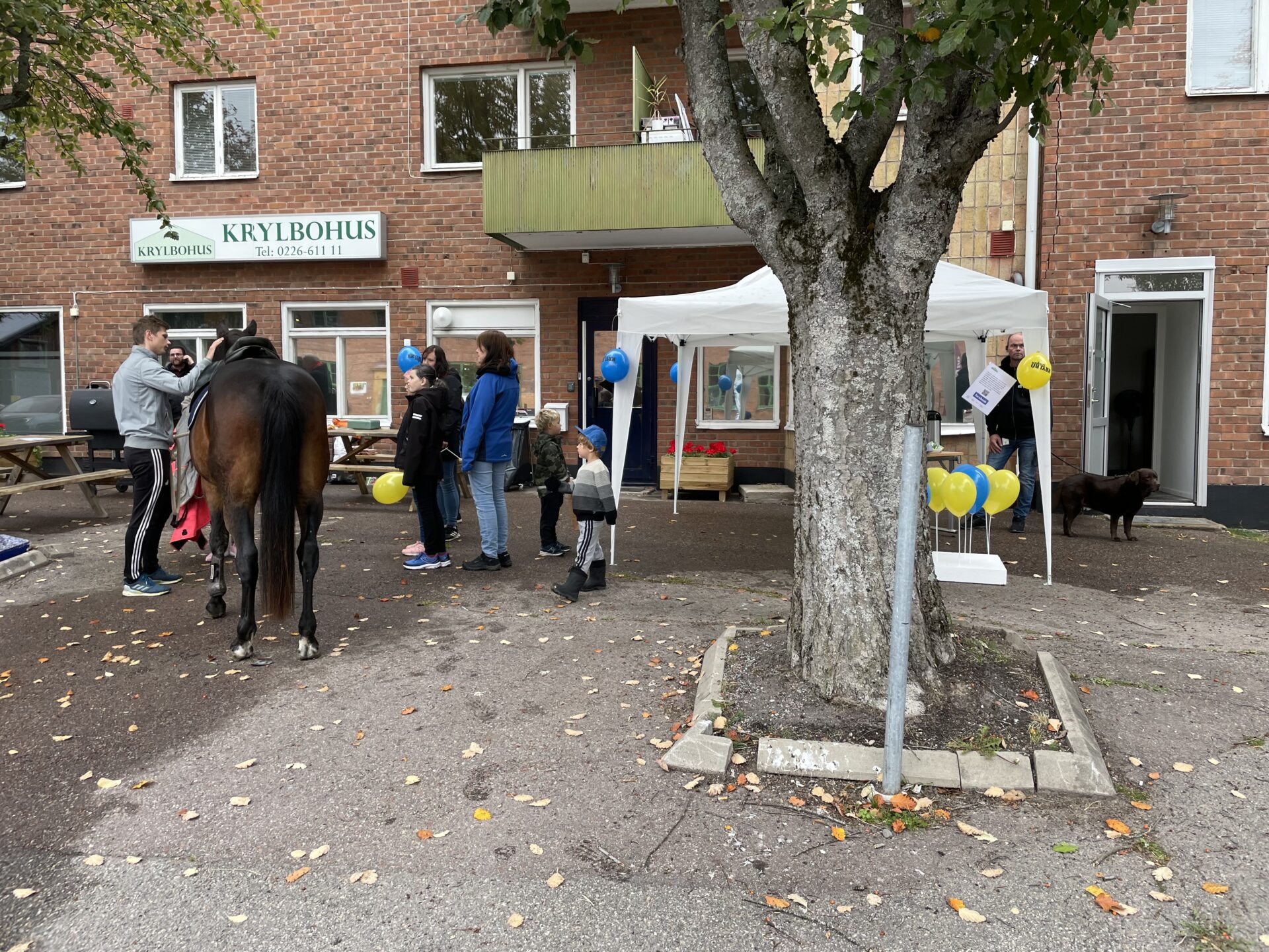Krylbodagen. Krylbohus. Bo bra i Avesta Krylbo.